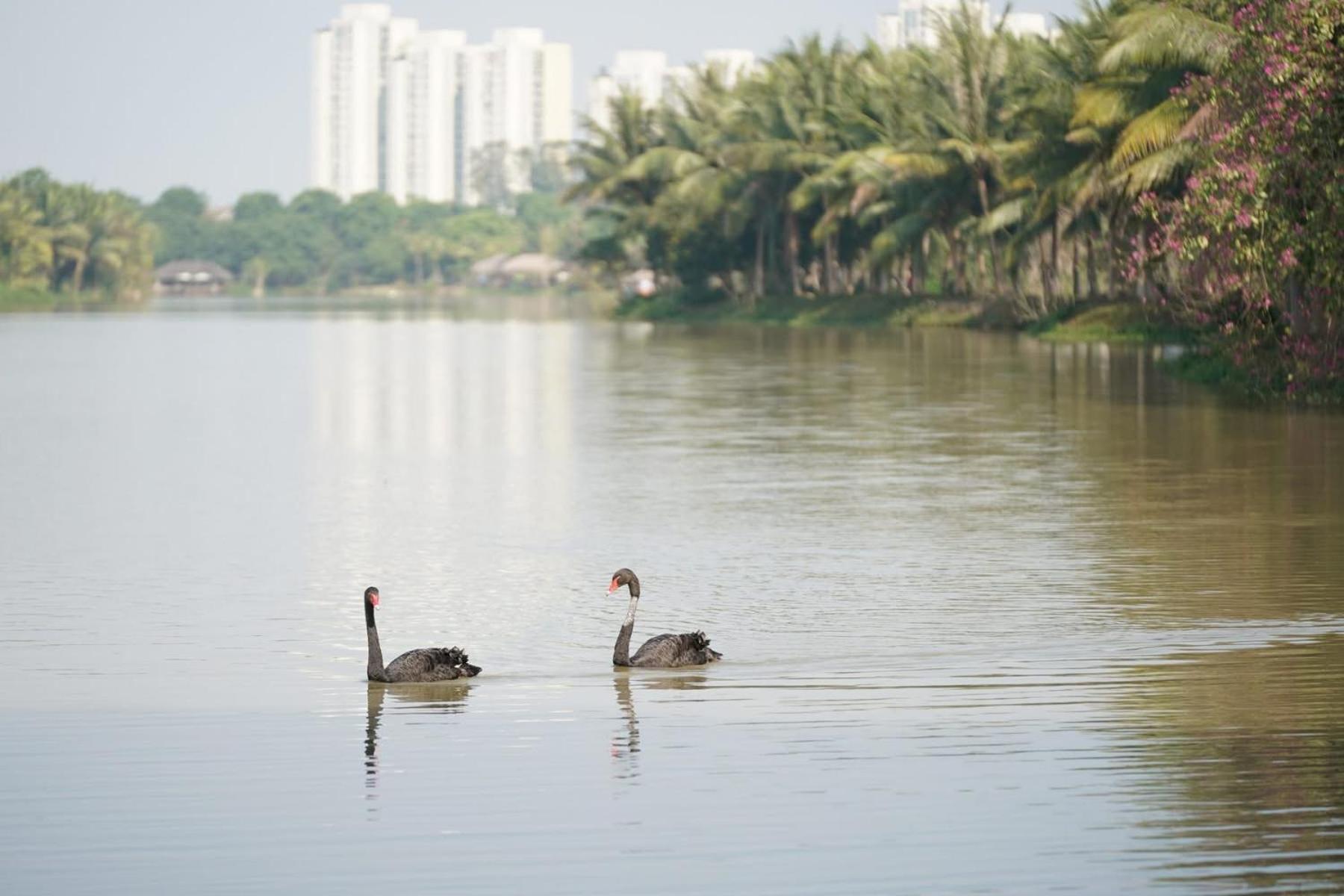 Bed and Breakfast Haven Park- Noi Nghi Binh An Hung Yen Экстерьер фото